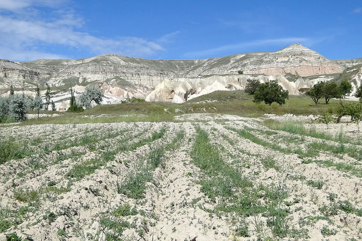 Rock formations in Rose Valley near Göreme
