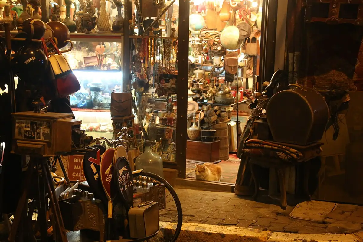 Кот на пороге антикварной лавки в Cihangir