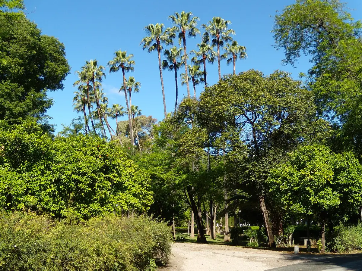 Parque de María Luisa