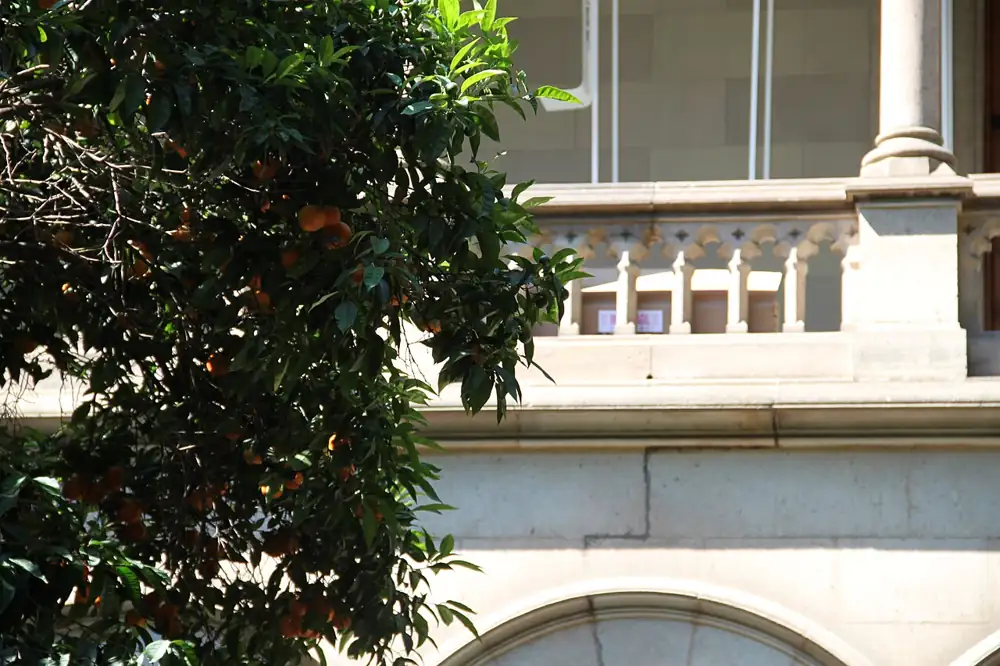 The courtyard of the historic Universitat de Barcelona building